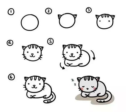 教程 猫咪画法教程,总有一款适合你