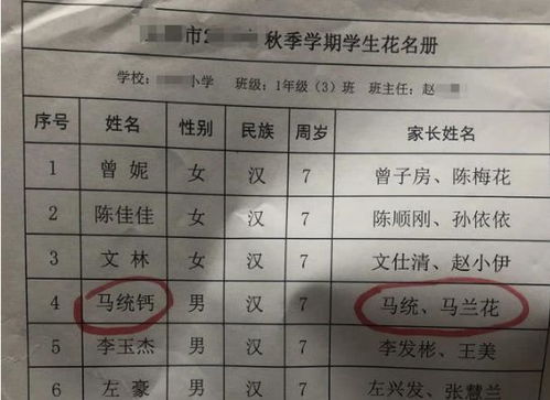 宝宝取名 吉喆 ,护士不小心打错出生证名字,爸爸大喜 不改了