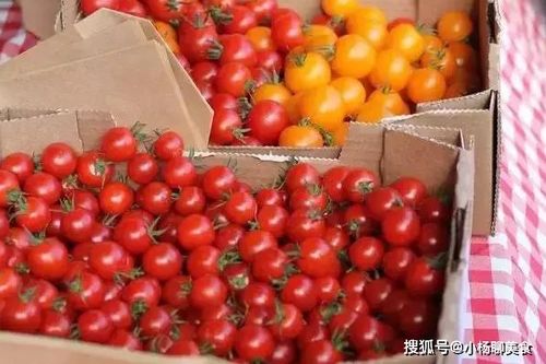 西红柿生吃和 熟吃 ,到底哪种更有营养 原来区别这么大