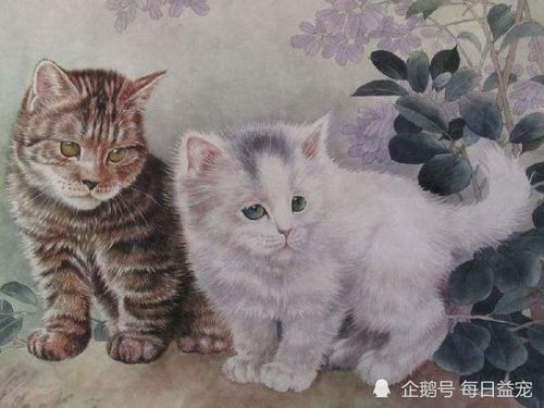 乾隆养的小猫名字这么好听,古代人好有文化,快点学学