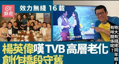 家族荣耀 躺枪 香港演员 TVB的剧就像 家族荣耀 一样老套