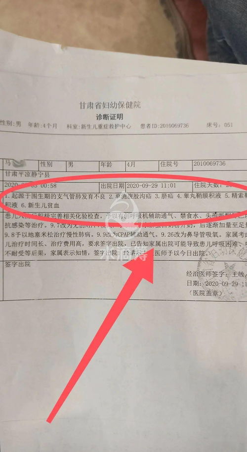 发起人有哪些法律责任