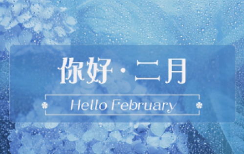 1月再见 2月你好 往事清零,爱恨随意