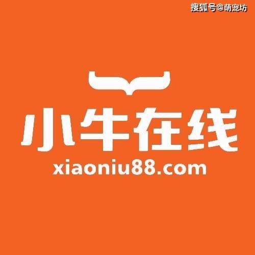 最新消息报告,小牛在线金融将全面展开对出借人清退方案