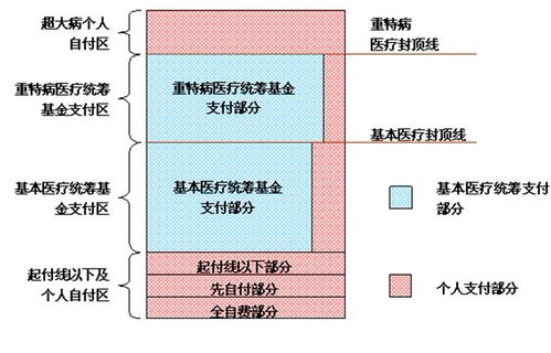 基本医疗保险统筹基金由哪几部分组成？