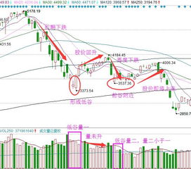 其实恐慌性抛盘并不会对股价产生下跌作用（假如没有任何人买入），对吧