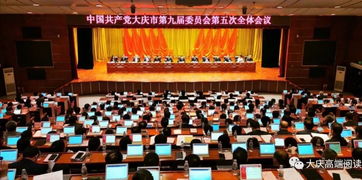 全会解读三 写实 八字方针 的大庆方案