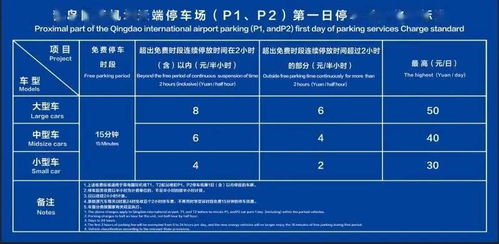 国家停车场收费标准和时间规定(停车场收费标准政府定的吗)