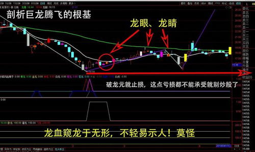 通达信有哪些特色指标