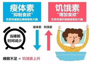 减肥不理想,你肯定是忽略了这一点