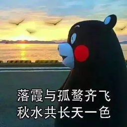 我们是为了什么存在