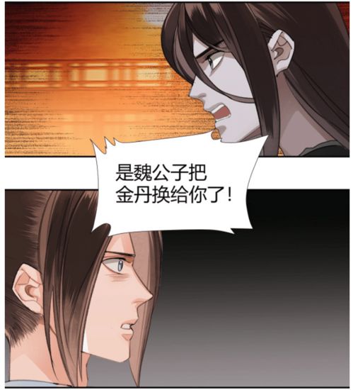 魔道祖师 江澄知道了魏无羡剖丹全过程,蓝湛问温宁剖丹痛苦吗