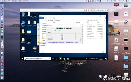 VM12能安装到WIN10吗