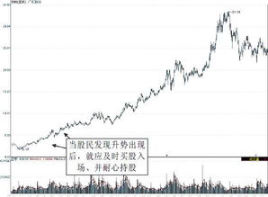 600256广汇股份各位高手帮分析下明日应该怎么操作?我28.6元的成本各位帮诊断下?