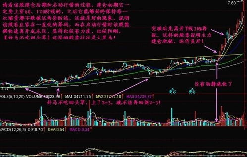 台湾股票一个涨停板是多少