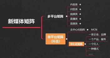 5大模式6种要点,照着学就能会的 抖音矩阵 玩法,引流变现必备