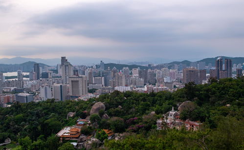 福建省首个植物园,坐拥全国最大的仙人掌园,如今是厦门网红景区