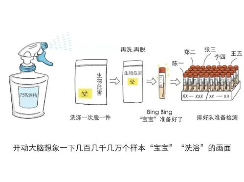 网络查重原理详解：从检测到处理的全过程