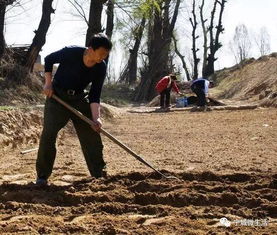 宁城开春种地了,路上开车的司机请照顾下农民兄弟 