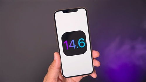 苹果手机用什么软件测试续航,iOS 14.6负优化 测试发现7款iPhone机型的续航均下滑...