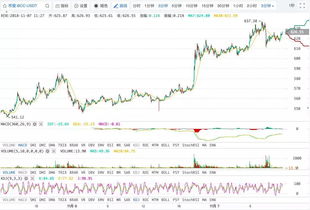 bch还能回到4000美金吗