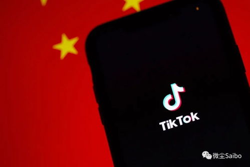 中国怎么下载tiktok国际版_Tiktok 怎么开通