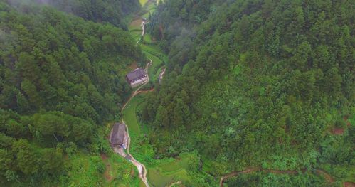 大山深处一户人家,大山环绕,云雾缭绕,风水宝地 