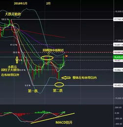 怎么一天能跌近50%