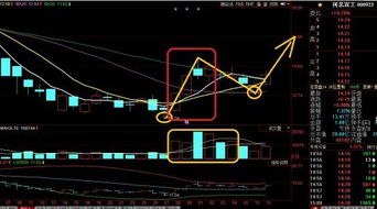 华东科技到底是什么类型的股票？