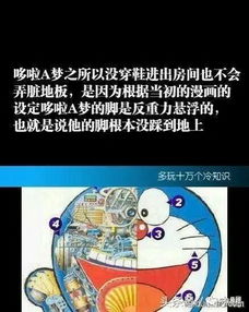 砰砰 你的冷知识包裹已到达 请签收 