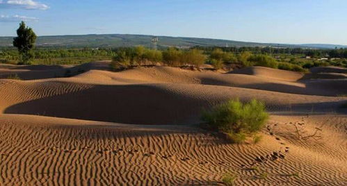 中国最 独特 的沙漠,60年前还是流沙,现在大部分变成绿洲