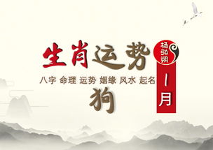 属狗2019年运势及运程