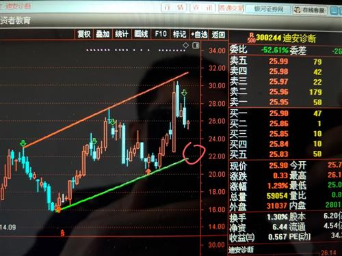 听说有个股票从84元跌到现在4元,是哪只股票啊