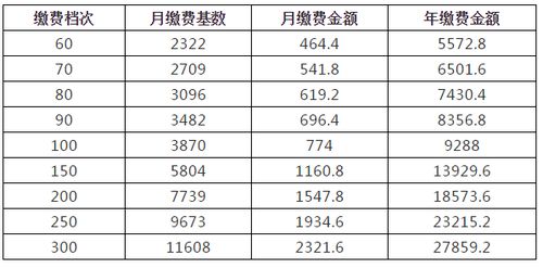 珠海灵活就业2022年缴费标准(珠海灵活就业养老保险)