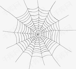 合成蜘蛛网素材图片免费下载 高清不规则图形psd 千库网 图片编号3268546 