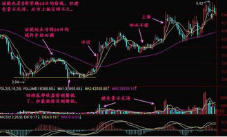 两手不同价格买入的股票,如要只卖出一手,会是那一手?