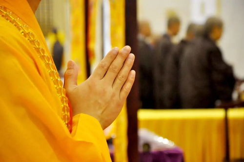 佛法如何化解老公出轨 学佛人如何面对丈夫出轨