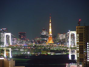 东京夜晚美轮美奂 国家化都市商业街遍布 