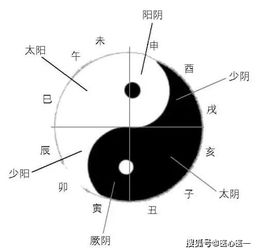 张仲景六经辨证中顺序 太阳 阳明 少阳 太阴 少阴 厥阴