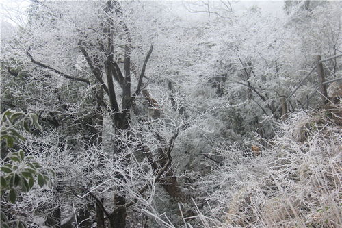 广东这几个地方这周可能会下雪,雪景最漂亮在这几个地方