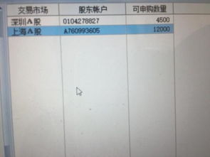 这个说明我新股申购的数量。沪市12000 深市4500 也就是说我打新股总共只能打这些股数吗？