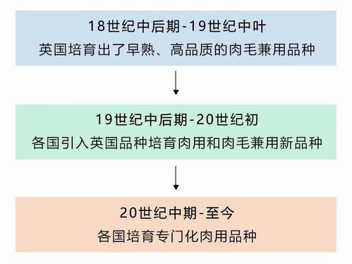 好羊肉,源于好品种