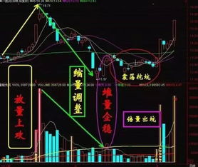 操盘奇才自爆炒股暴利秘诀 少看一秒钟都觉得亏了