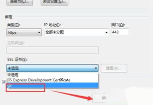 iis如何配置(使用iis建立虚拟主机的简单介绍)