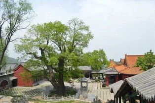河北省会有个地方被誉为中国古代 清华大学