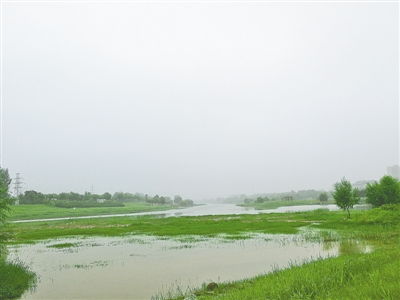 黄河水流量大了 为何郑州市区河道里水却少了