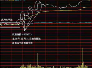 散户教头殷保华锒铛入狱前用的炒股秘诀 震憾庄家