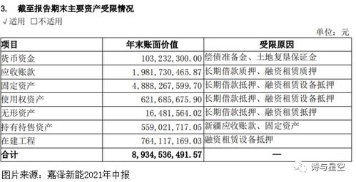 嘉泽新能 资金成本亟待解决的问题