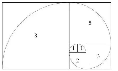 斐波那契螺旋线画法图片