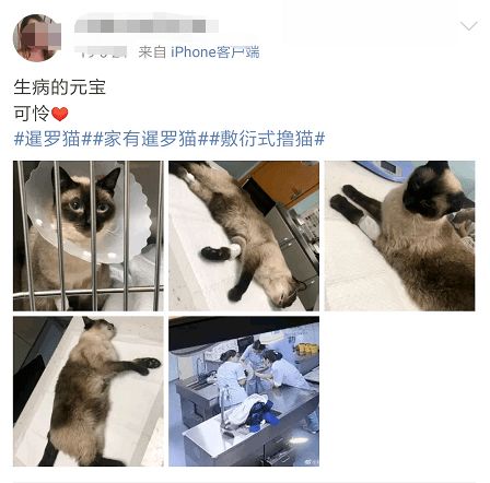 花生漫画 猫腿与猫是两种生物